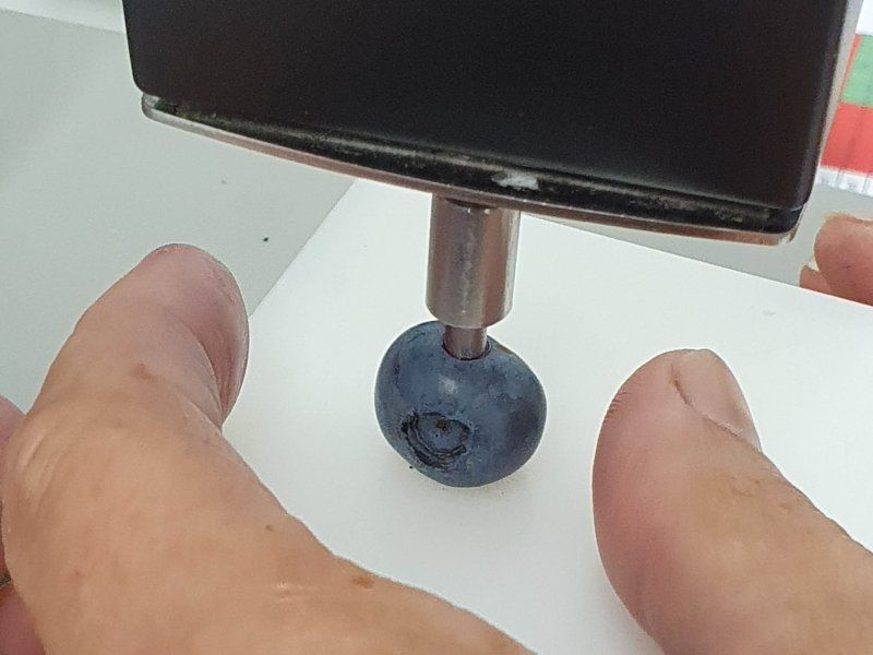Retail practices for blueberries